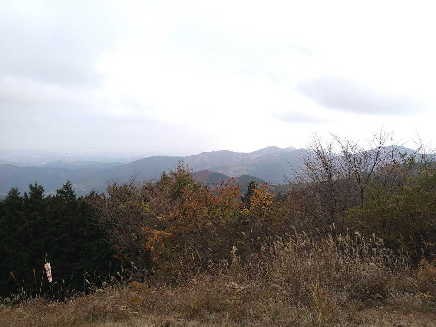 丸山山頂から大野峠に向かう途中の、展望の良い広場✨