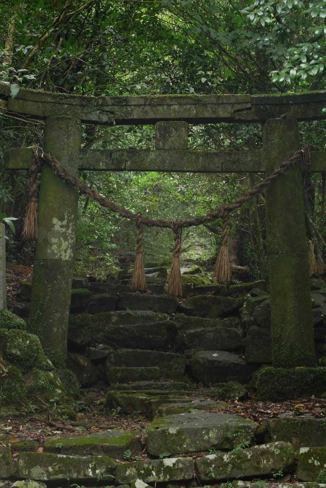 安満岳 往復コースの写真