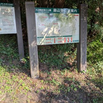 上蒜山登山道入口から駐車場まで約1.2㌔歩きます👣