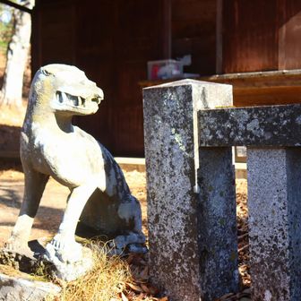 狼の狛犬。