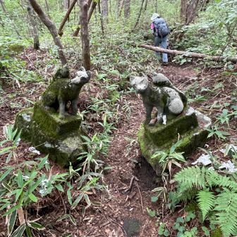キツネさまが鎮座してお出迎え…🙏