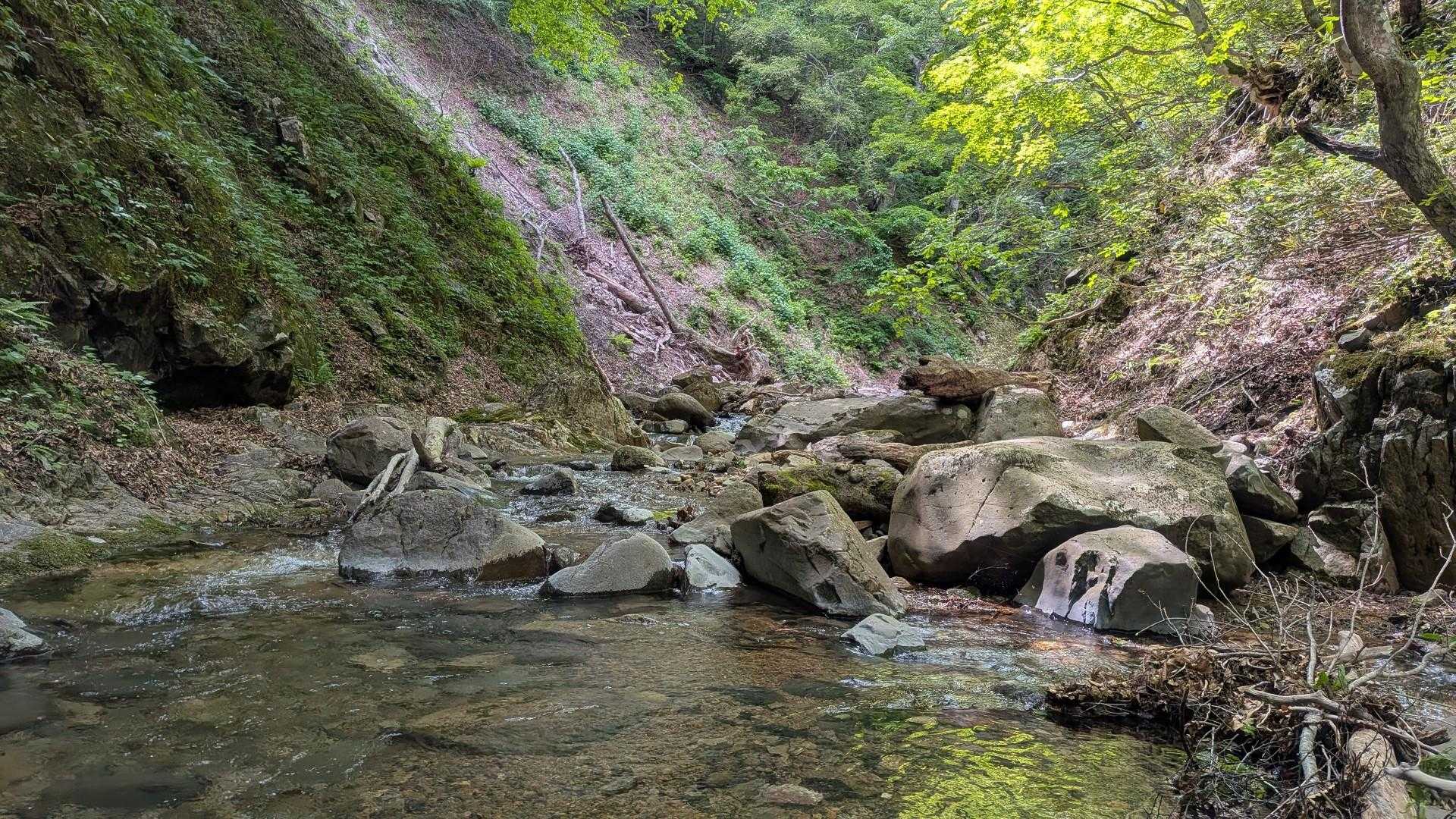 透明度がすごい