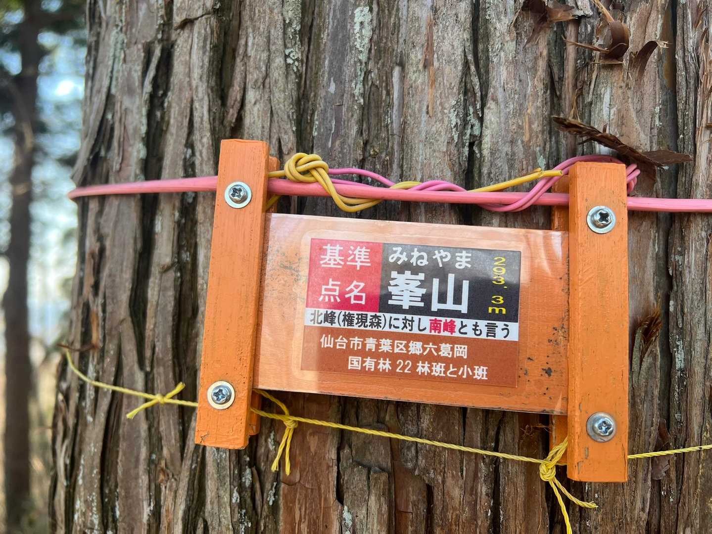 権現森北峰-権現森南峰 往復コースの写真