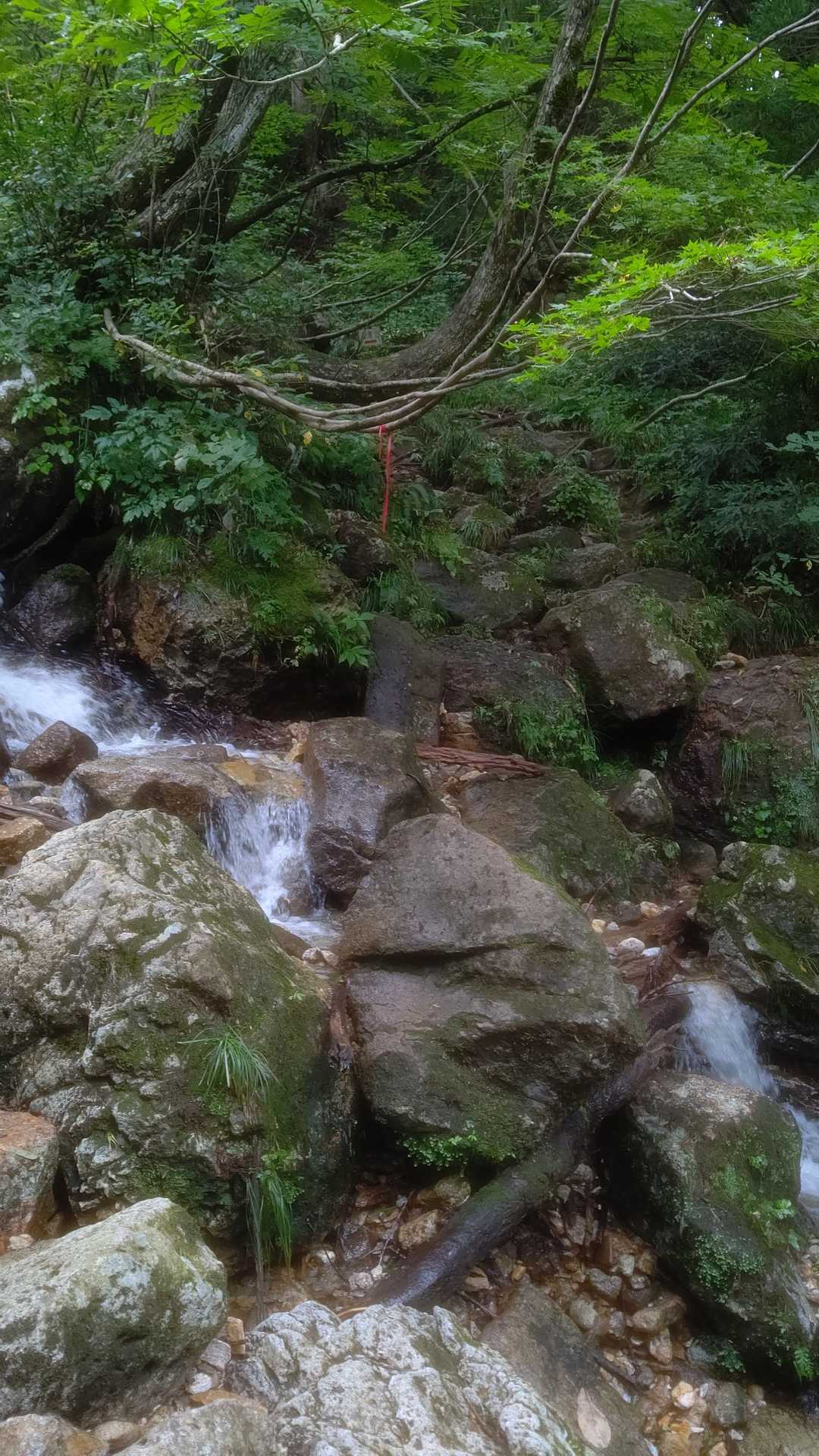 爼倉山登山口-爼倉山 往復コースの写真