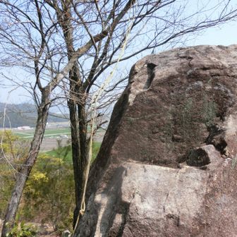 ロープがたらりんと。登るしかないよね〜。絶景があるかもしれないし…