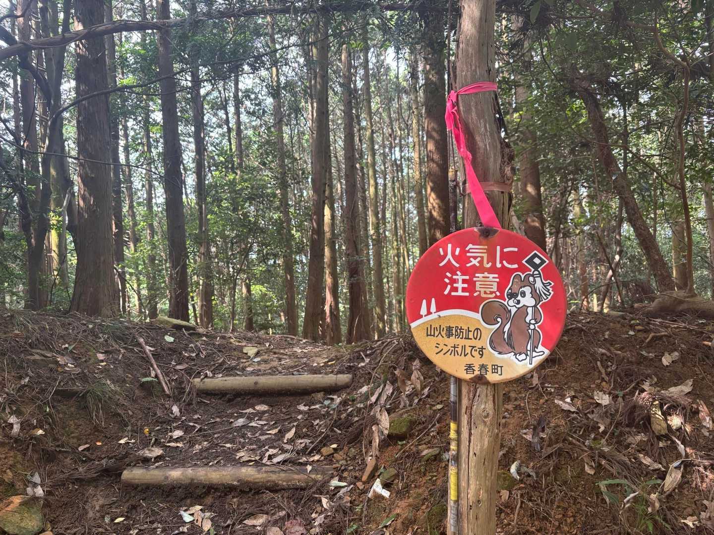 かわええ看板🐿️