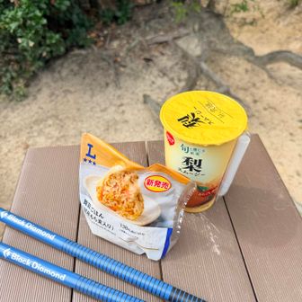 今回初めてトレッキングポールを使ってみました
手ぶらより疲れにくいし、下りが楽になったと感じます。
ポールで手が塞がるのであまり写真を撮らなかった笑