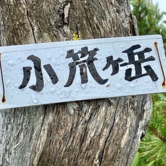 小笊ヶ岳山頂です