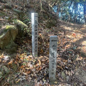 ウロウロしたいけど…用事あるから直ぐ降ります！ってのは建前で。