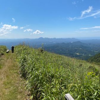 ベンチを求めて、行ったが日差しが強くて直ぐに戻ってくるKさん。この後、坂を少し下って日陰に退避されました。