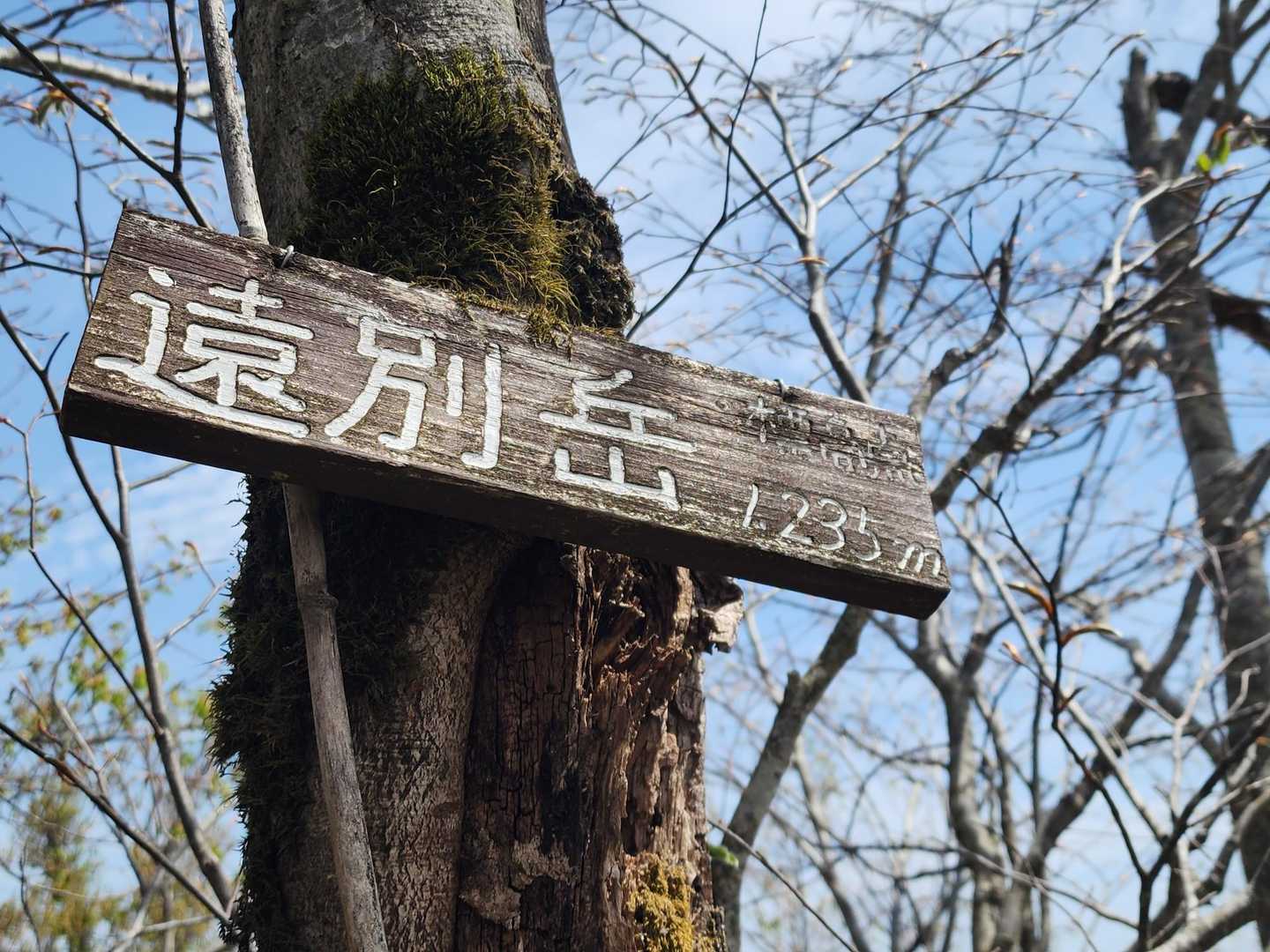 やっと山頂