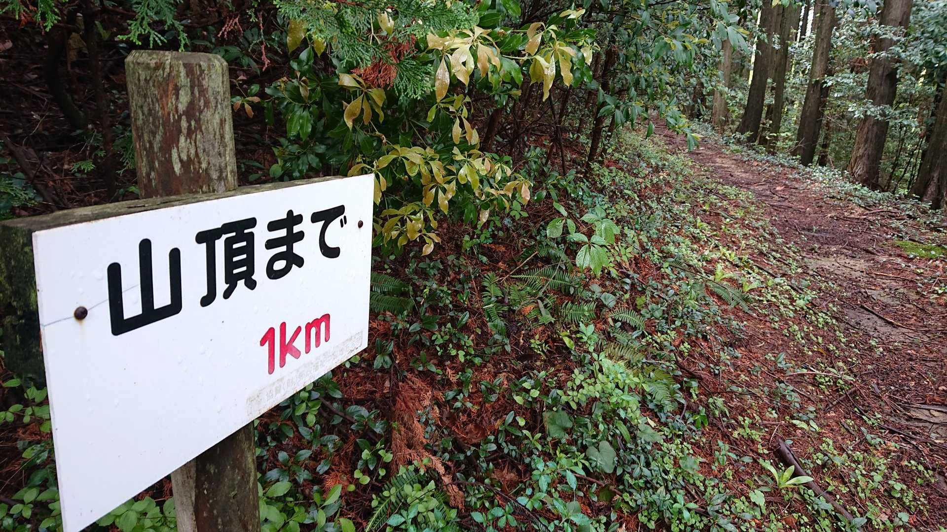 あと1km👍