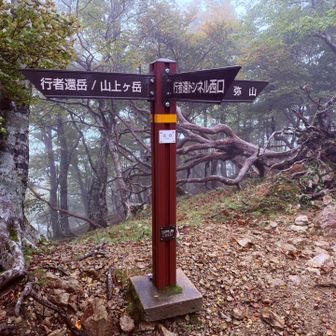 稜線にでた