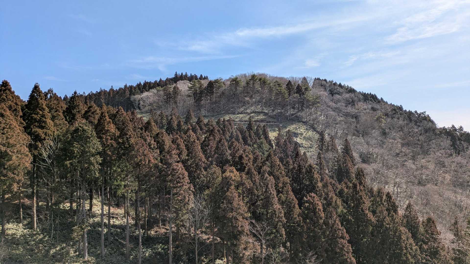 下川上登山口-大峯山-西大峯山-西大峯山登山口 周回コースの写真
