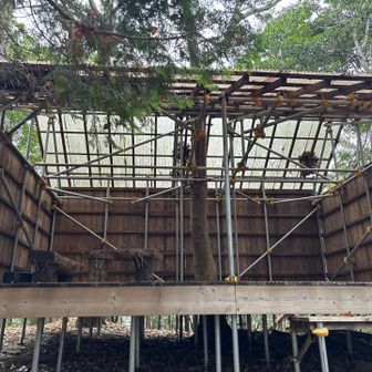 この建物の後がピーク