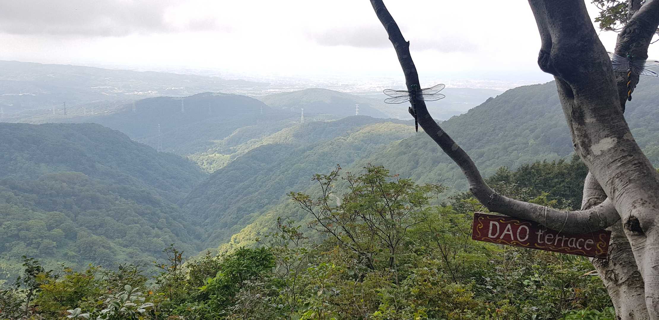 蛇尾山-白兀山 往復コースの写真