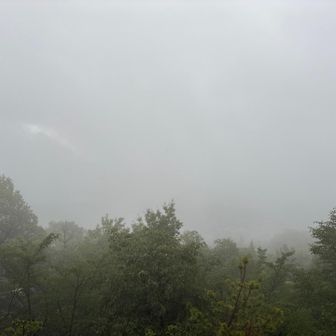 雨で視界悪し☔