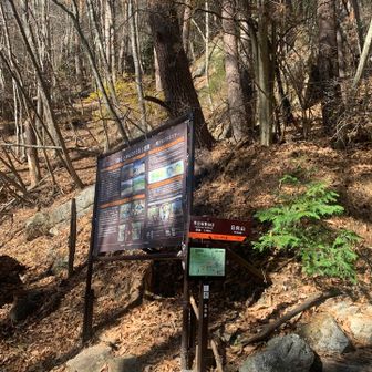 矢立石登山口入りまーす