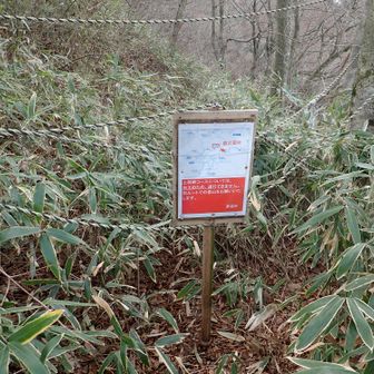 自己責任でこのロープをすり抜ける