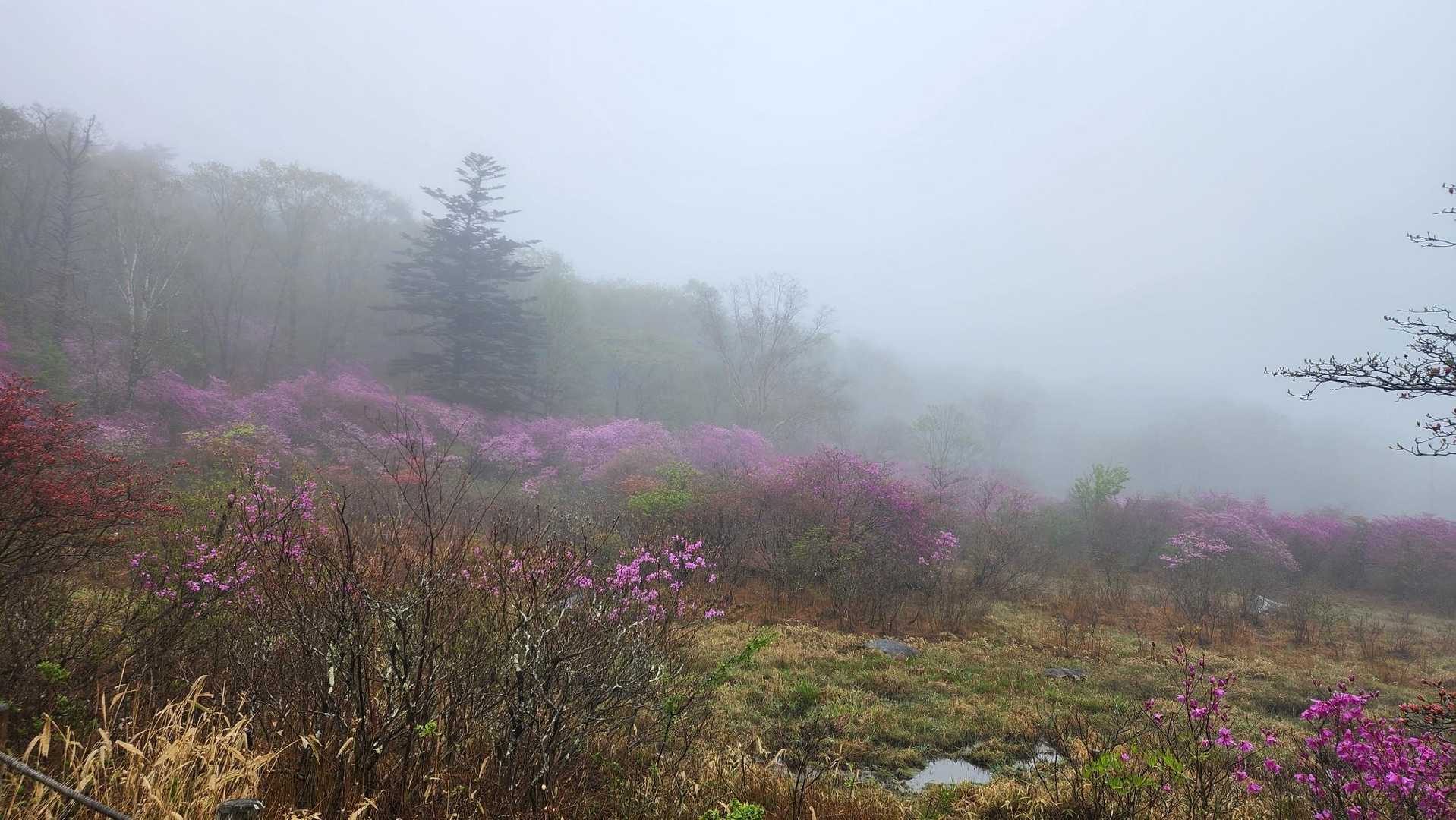 横根山登り口-横根山 周回コースの写真