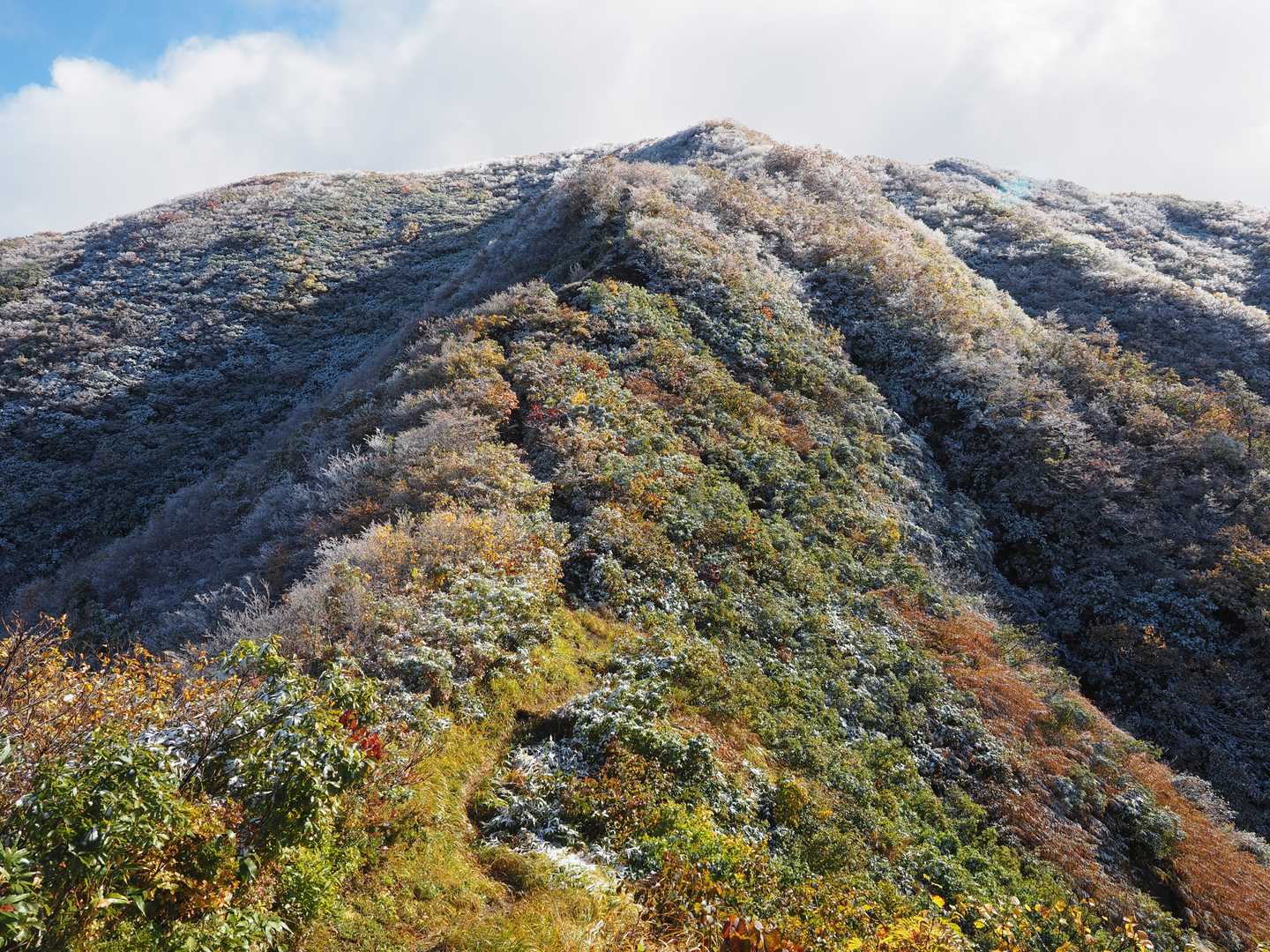 山頂までラストスパート❗
⛄と🍁