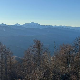 南アルプスも甲斐駒、北岳のトンガリ、大きな仙丈、右奥には塩見~悪沢~赤石なども鮮明です🏔️