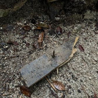 登山道に釘の刺さった板が落ちてた
踏んでしまったら足貫通するわ
