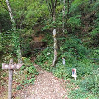 寒風山登山口です。
何とか無事に生還しました💦
笹ヶ峰南口ほどでは無いにしろ、それなりの急登と足元が上手いこと足元が見えないハシゴ、そしてなんと途中で転倒してしまい、ゴリゴリにメンタルを削られてしまいました😭
大した転倒ではなかったので、怪我も何も無く普通に歩くことができたのが不幸中の幸いです。さて、また小休止を挟み車道を通って戻ります。
あともう少しだ・・・