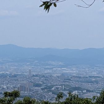 真ん中にチョコンと阿武山