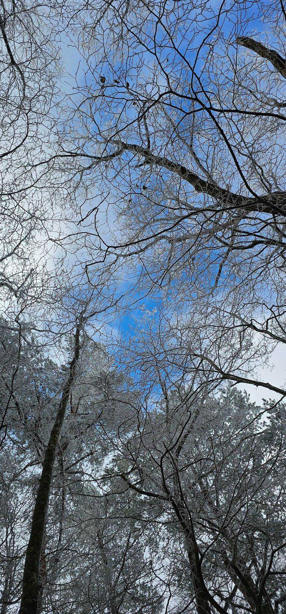 一瞬の青空💙