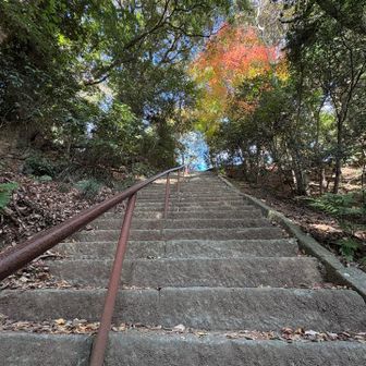 また階段・・・。