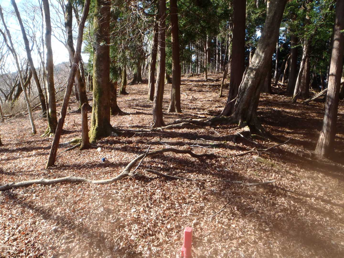 太郎小屋山山頂
