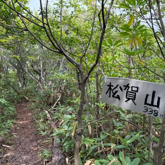 最後のピーク
からの、無事下山。