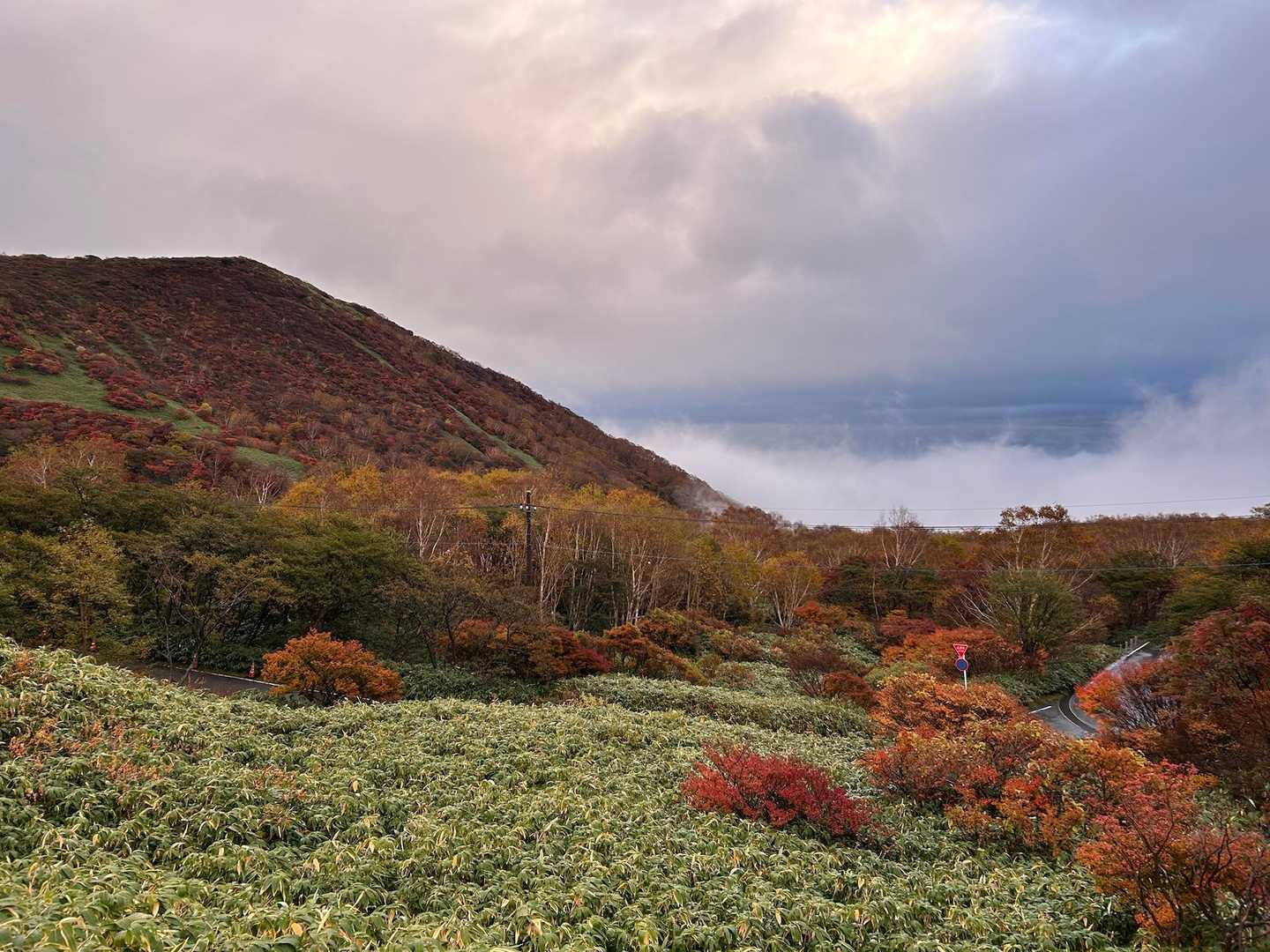駐車場から🍁