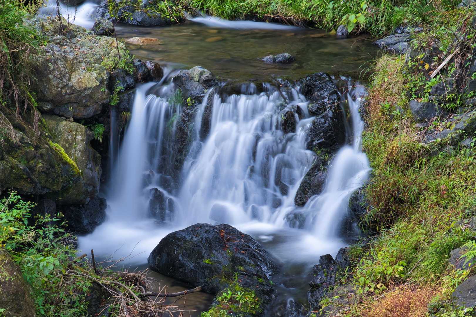 沢沿いをまったり歩きながら登山口へ。