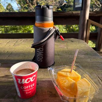 前日買ったフルーツとコーヒーも
