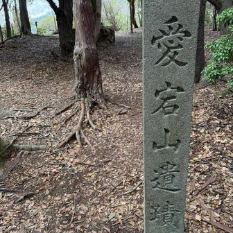 一座目、愛宕山へ　傾斜と心地よい気温で早くも滝汗？💦💦