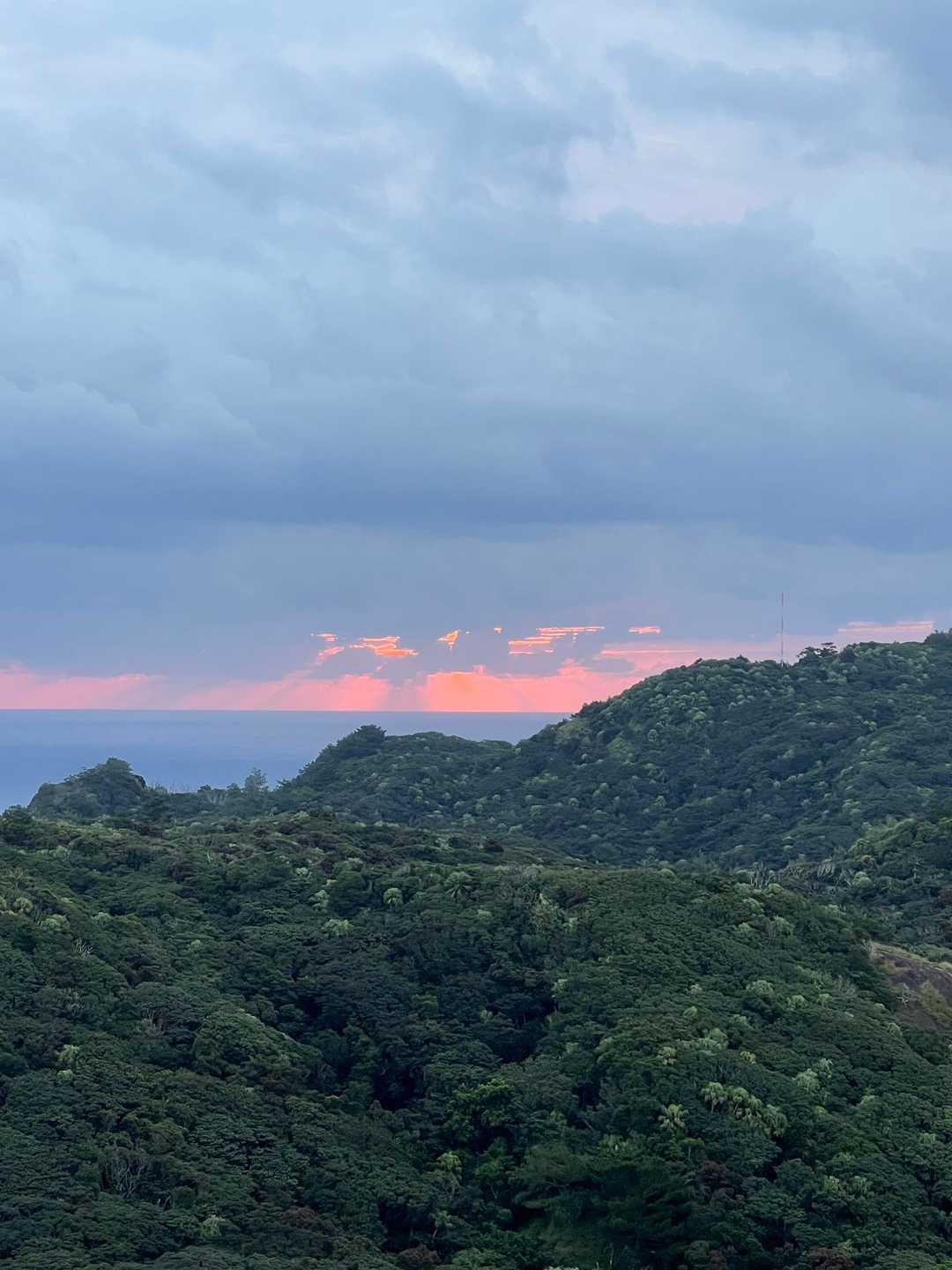 旭山 往復コースの写真