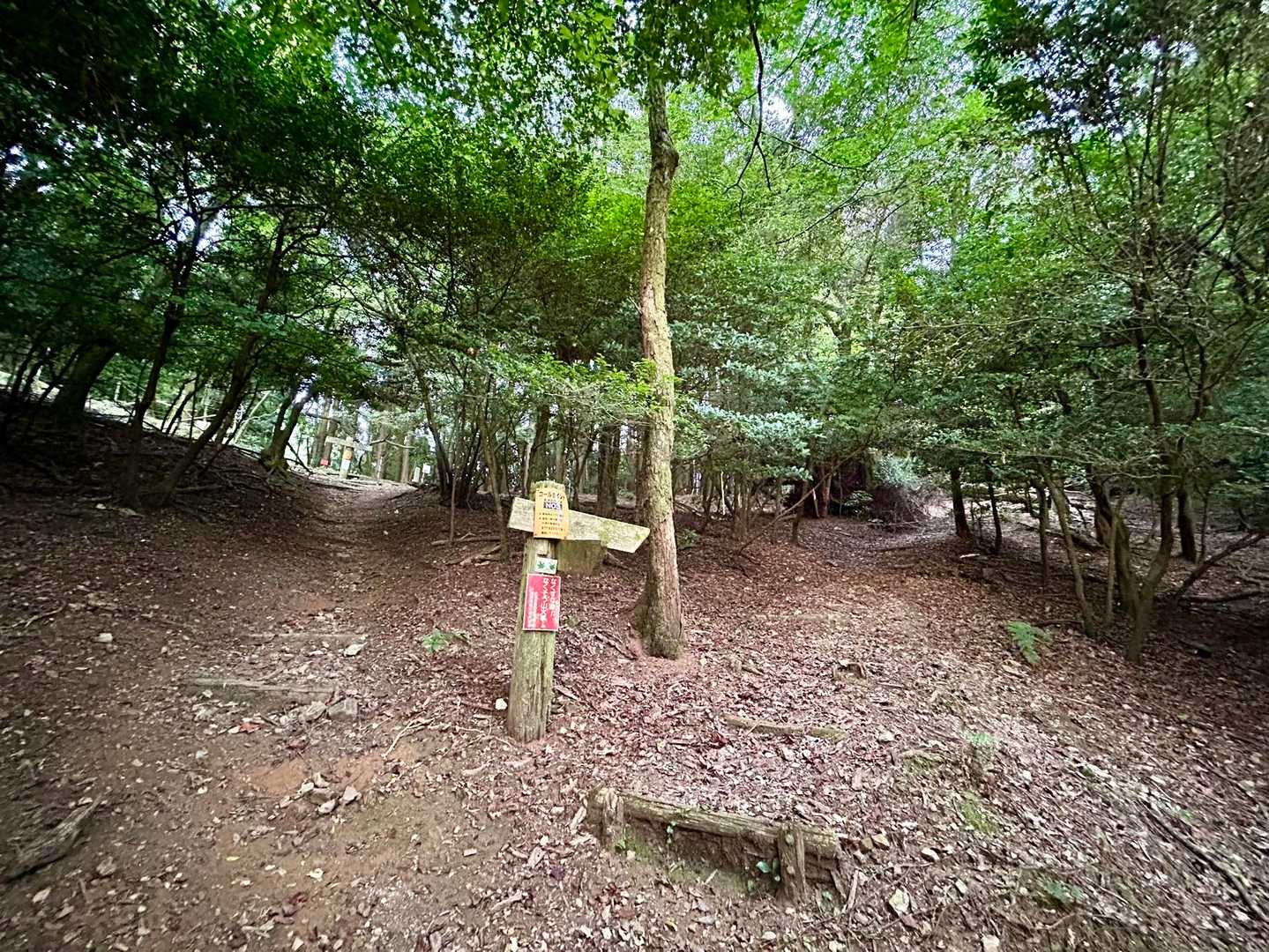 前回倒木で通れなかったショートカット道が整備されてる。
どなたか知りませんが、ありがとうございます🙏