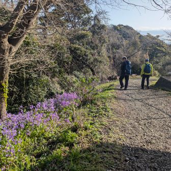 ここが登山口
たくさんのハナダイコンが咲いていました✨️
義弟は大学時代に生物の生態を観察する為、山に登っていたそうです。
主に奥多摩山域・雲取山周辺
又、山歩きがしたくてリュックや登山靴を買い揃えたそう。
それだったら一緒に登りましょうと、今回初めてのコラボが叶いました👬🚶