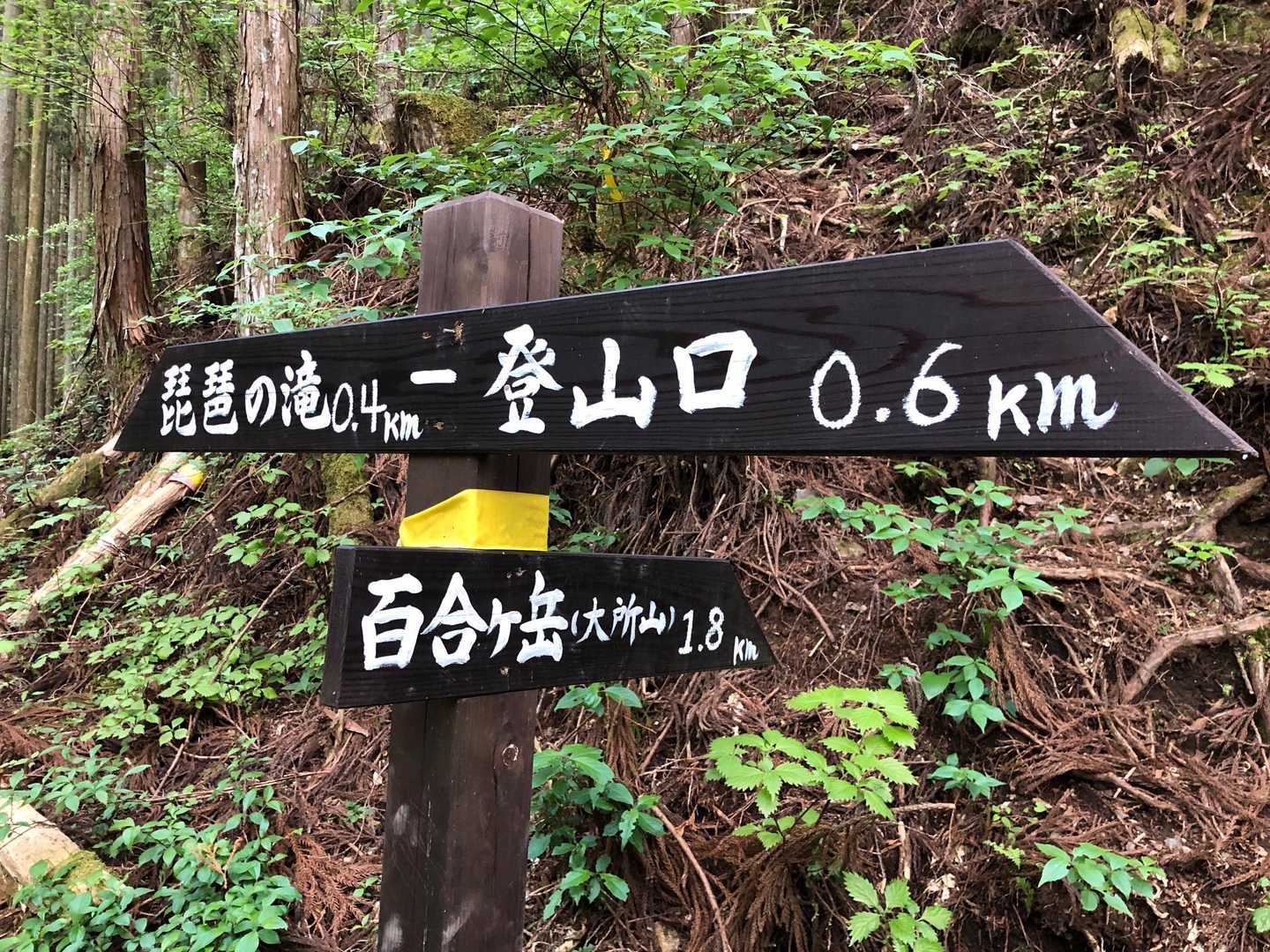 琵琶の滝は次回のお楽しみ⭐︎⭐︎