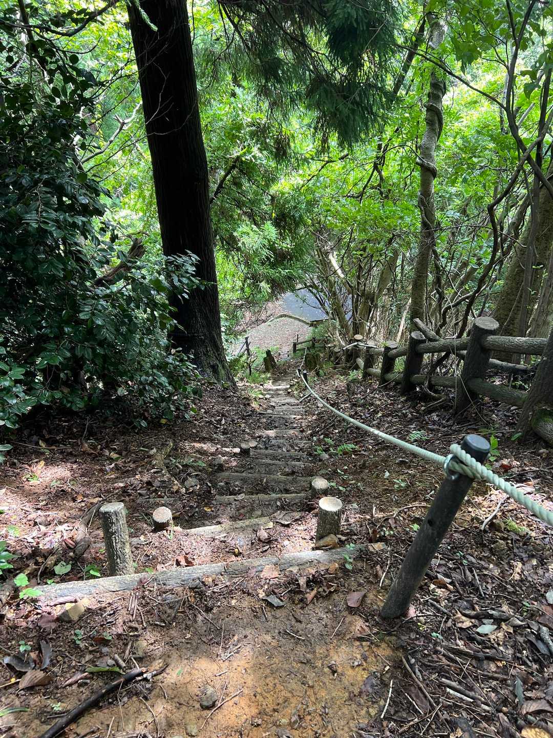 コーヒータイムも終わったので
下山
山頂から下りるのが…
ここ一番の難所