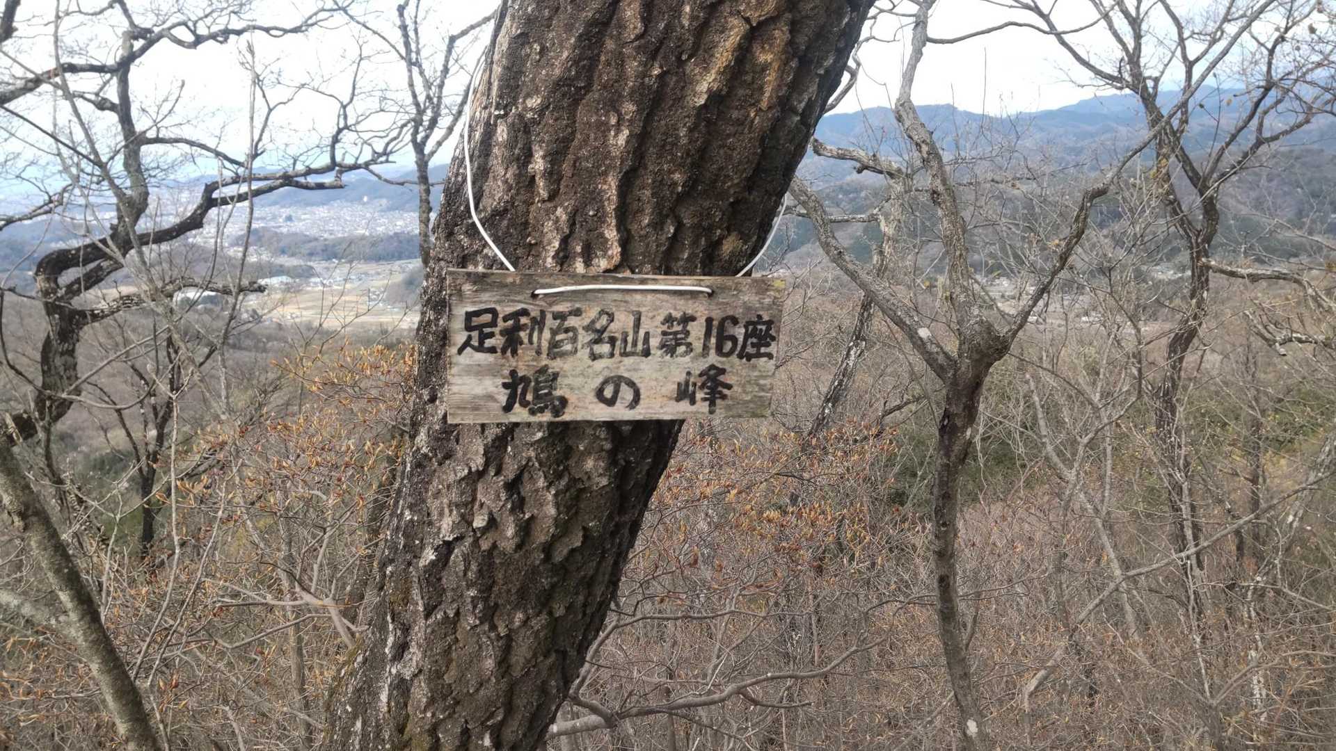 雷電山登山口-雷電山-鳩ノ峰-富士見山 周回コースの写真