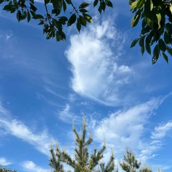 めっちゃ空が綺麗