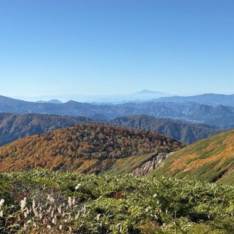 鳥海山が見えた！