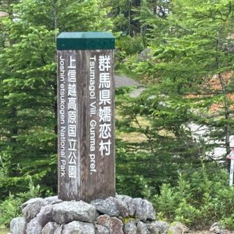戻ってきました。
ココを本日のゴールとする‼️