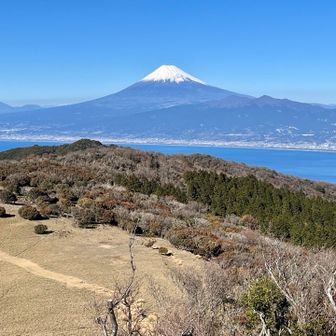 金冠山からの富士山