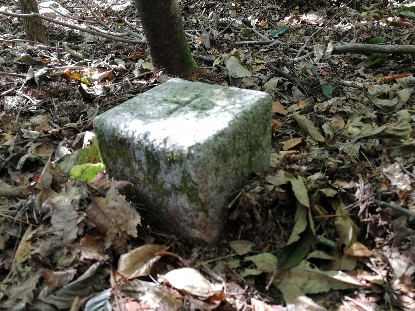 見っけ👀