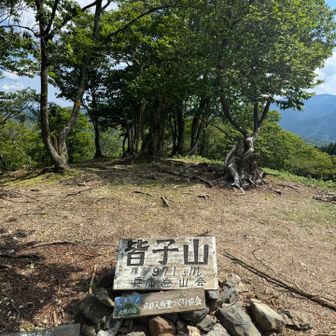 皆子山山頂