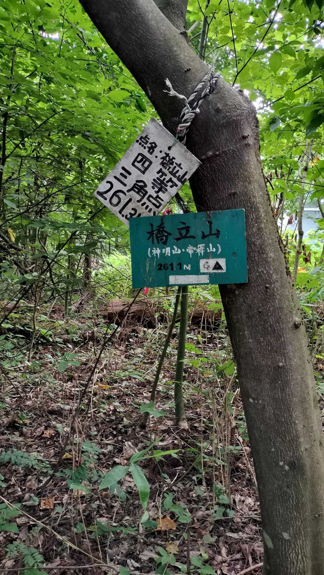 酒清水登山口-橋立山 往復コースの写真